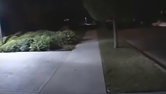 Wild Group Sex Party With 16 Participants